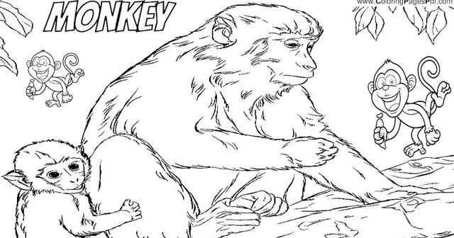 Realistic monkey coloring pages rcoloringpagespdf