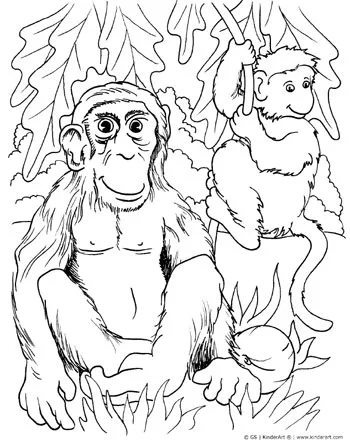 Monkey coloring page â