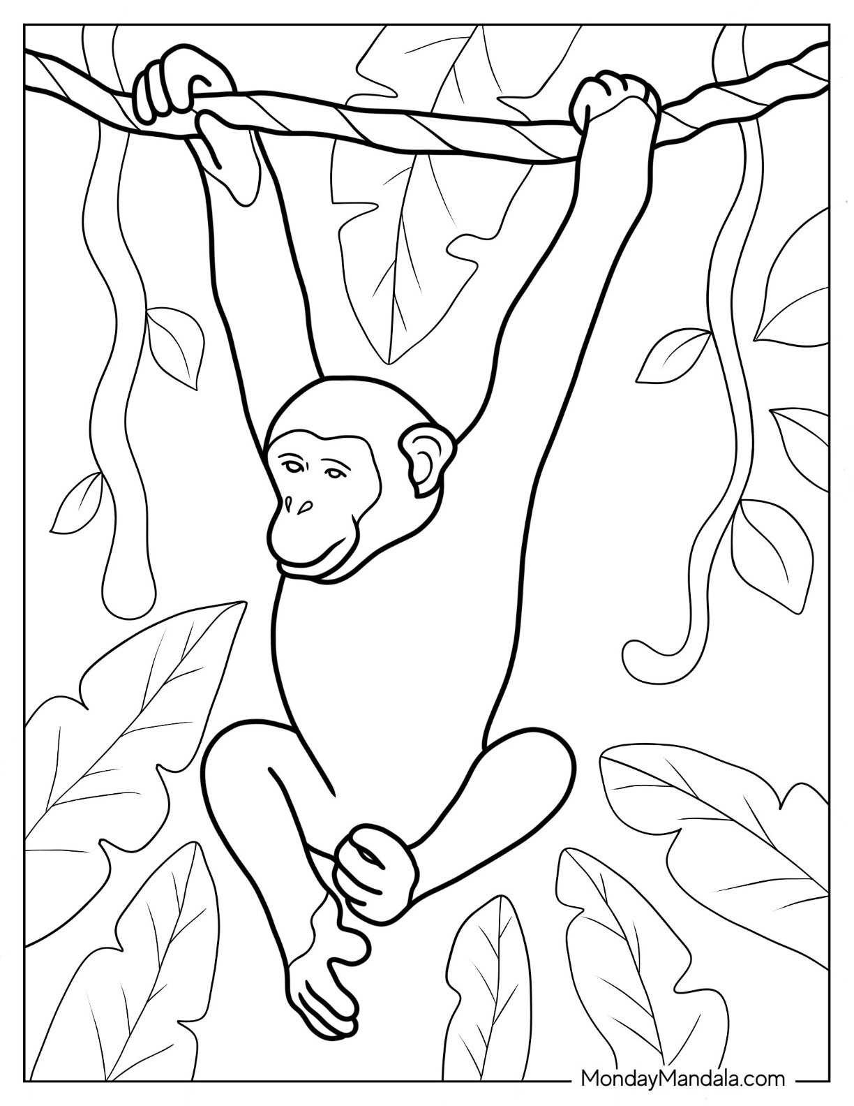 Monkey coloring pages free pdf printables