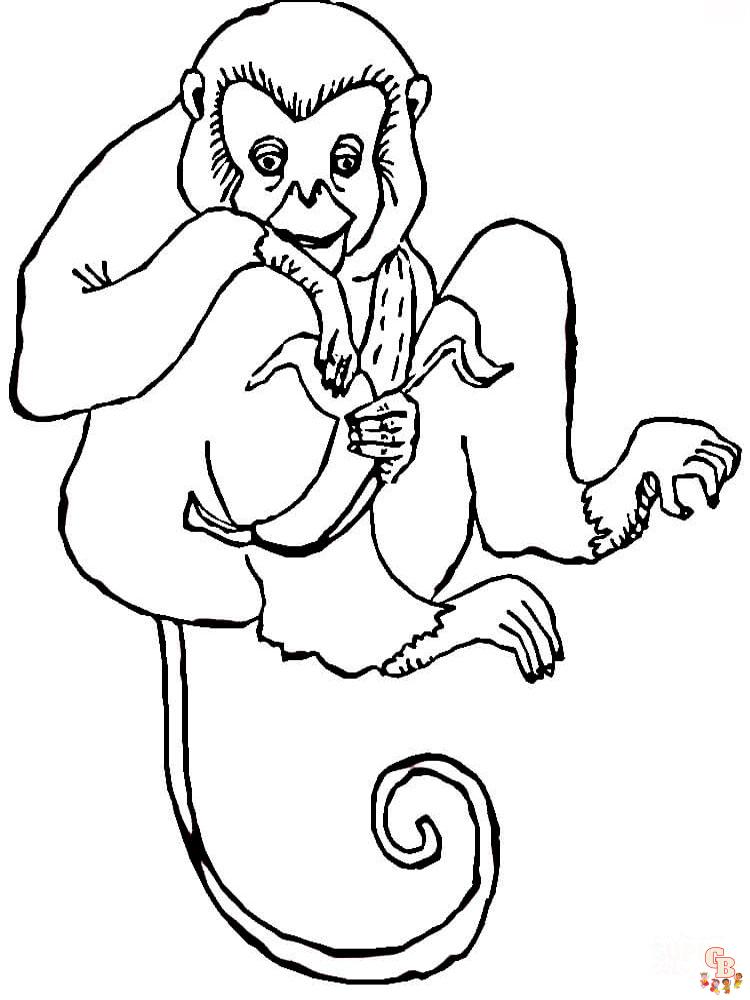 Monkey coloring pages for kids
