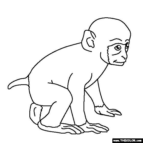 Baby onkey coloring page