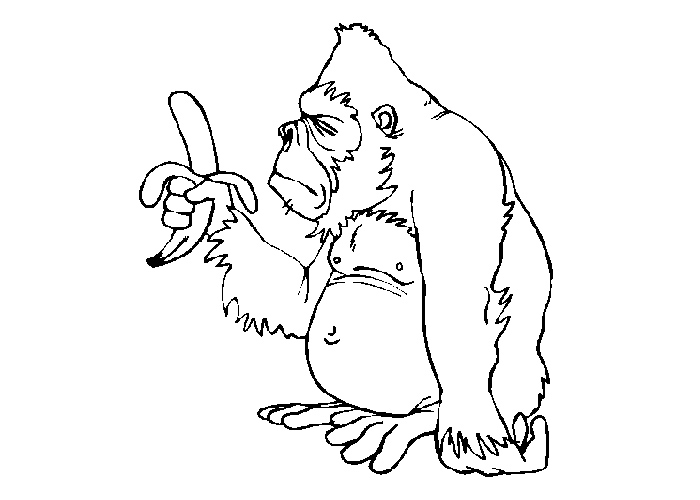 Monkeys coloring pages