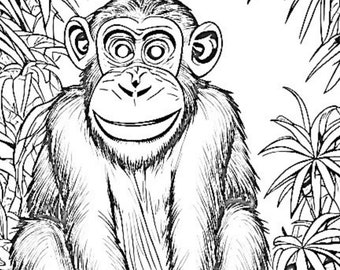 Printable monkey coloring pages for kids size