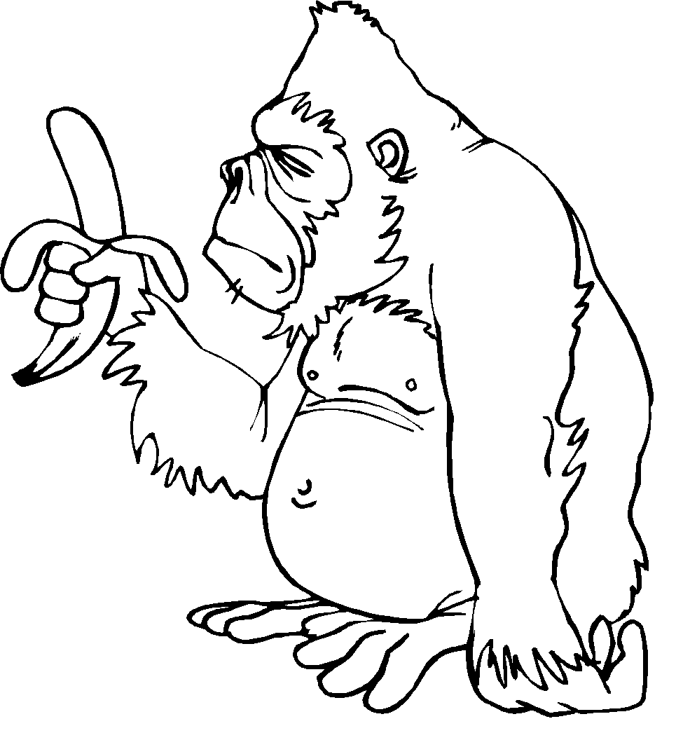 Free printable monkey coloring pages for kids