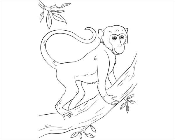 Free monkey coloring pages in ai