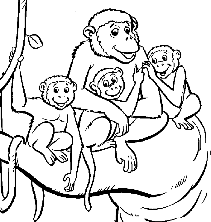 Free realistic monkey coloring pages download free realistic monkey coloring pages png images free cliparts on clipart library