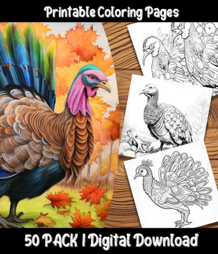 Monster coloring pages digital pack happy colorist