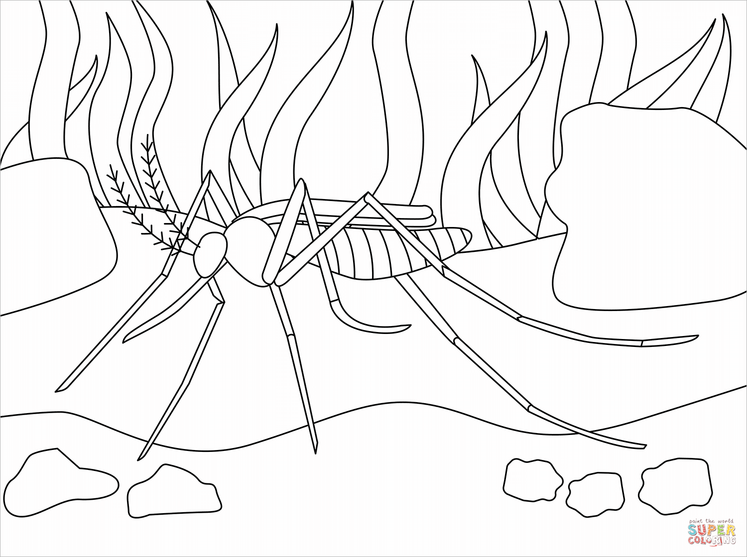 Mosquito coloring page free printable coloring pages