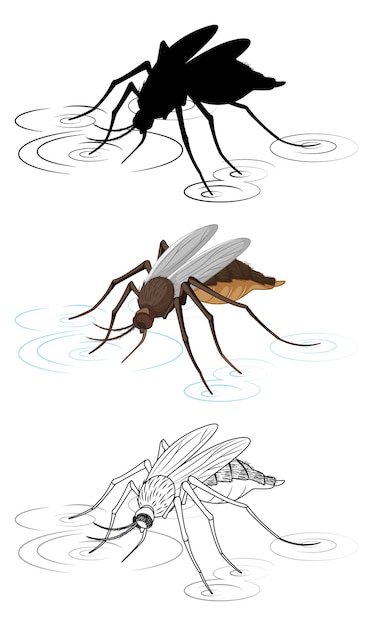 Mosquito drawing images