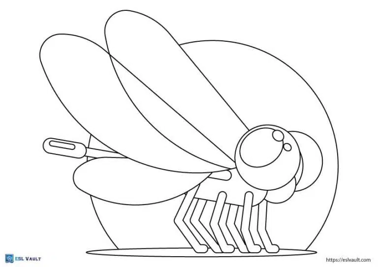 Beautiful dragonfly coloring pages