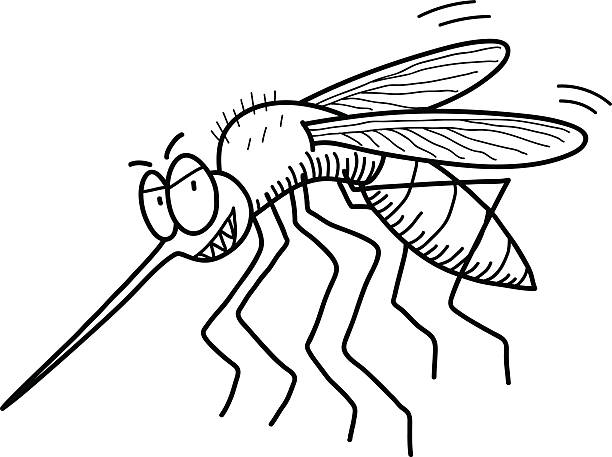 Dengue fever drawing stock illustrations royalty