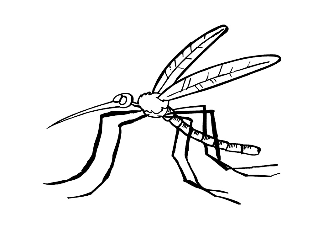 Free printable mosquito coloring pages for kids