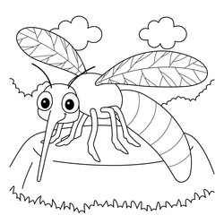 Mosquito outline drawing insect vector images over