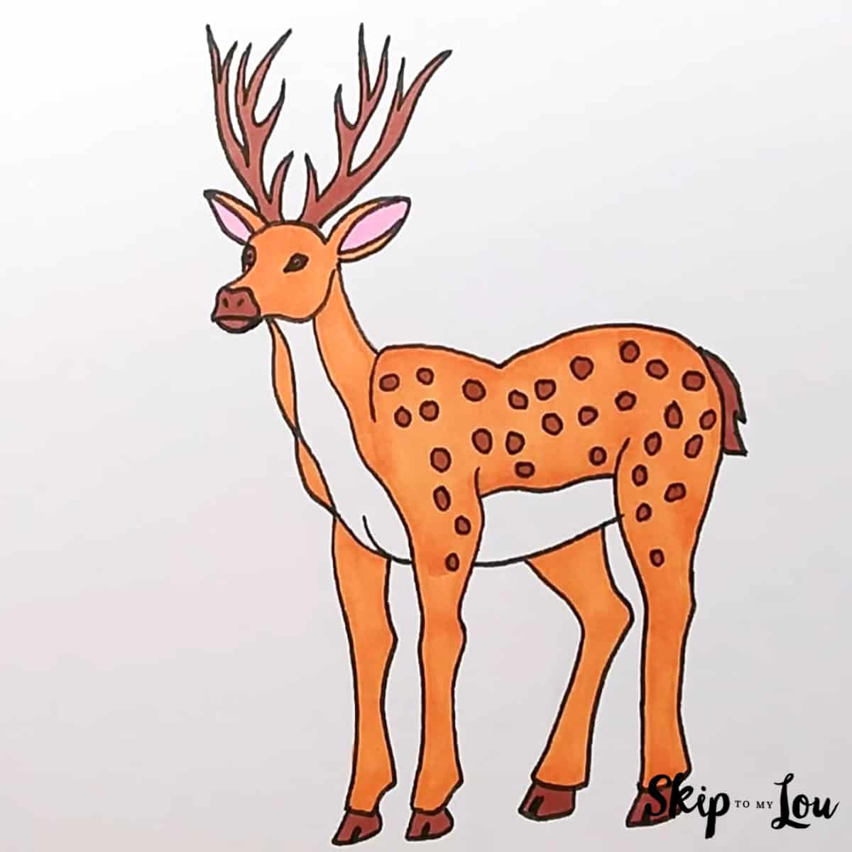 Easy how to draw a deer guide skip to my lou