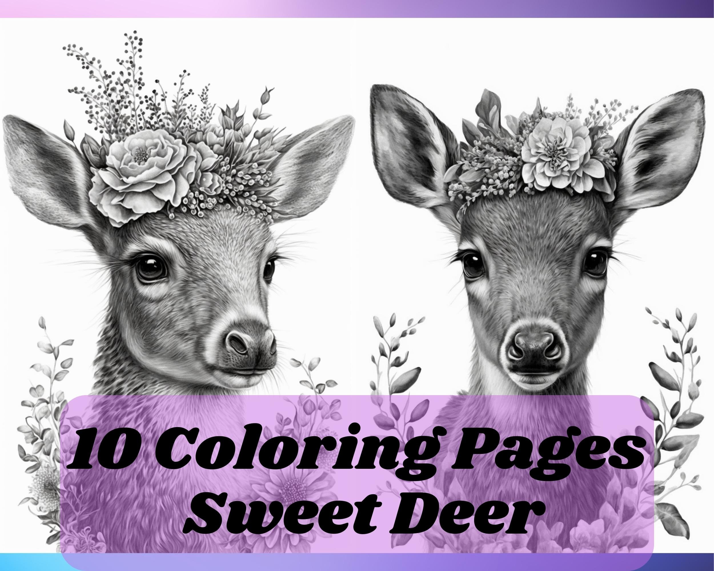 Deer draw
