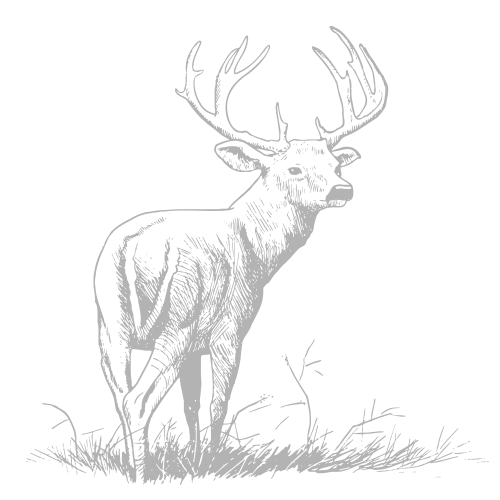 Wagonhound outfitters