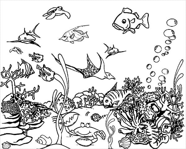 Sea coloring pages