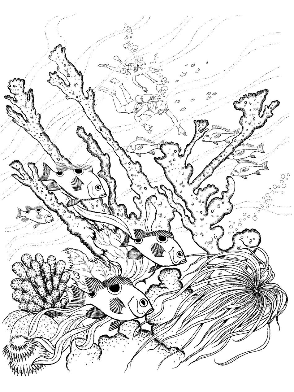 Ocean coloring pages