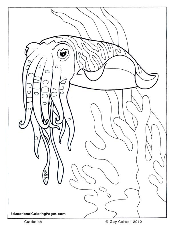 Ocean coloring pages free for kids