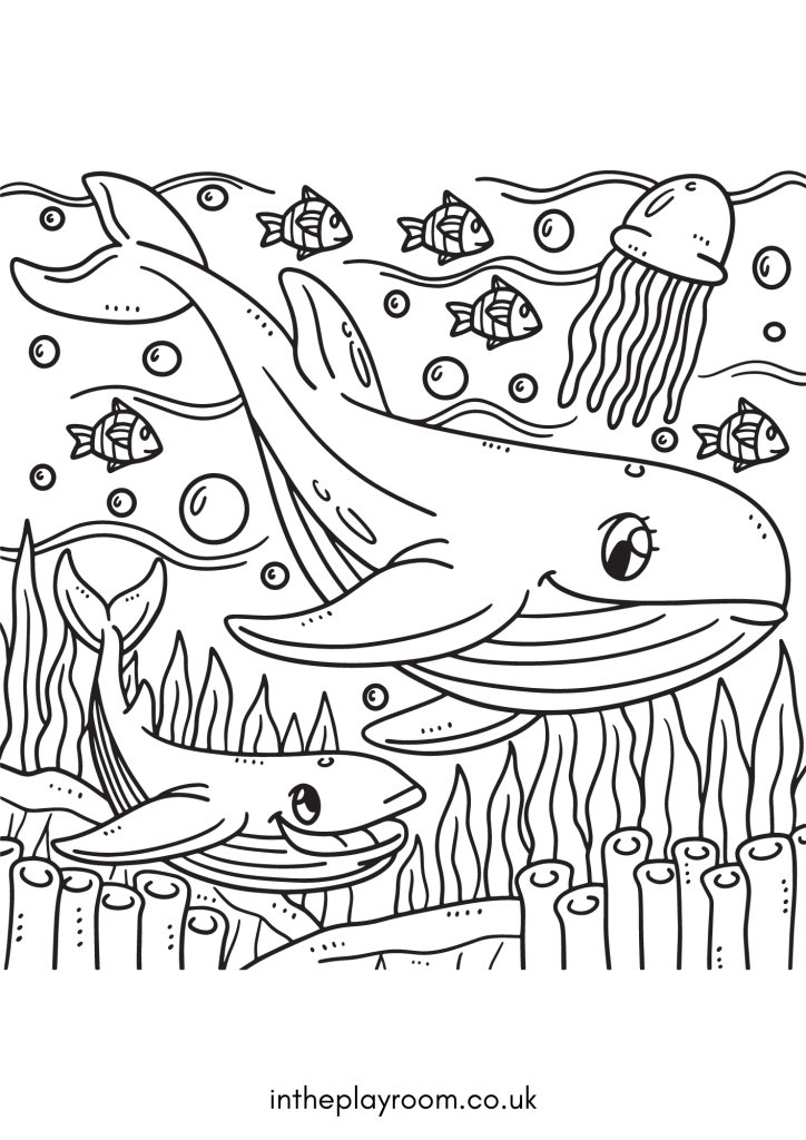 Free printable shark loring pages for kids