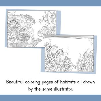 Realistic ocean and coastal habitat coloring pages marine biome