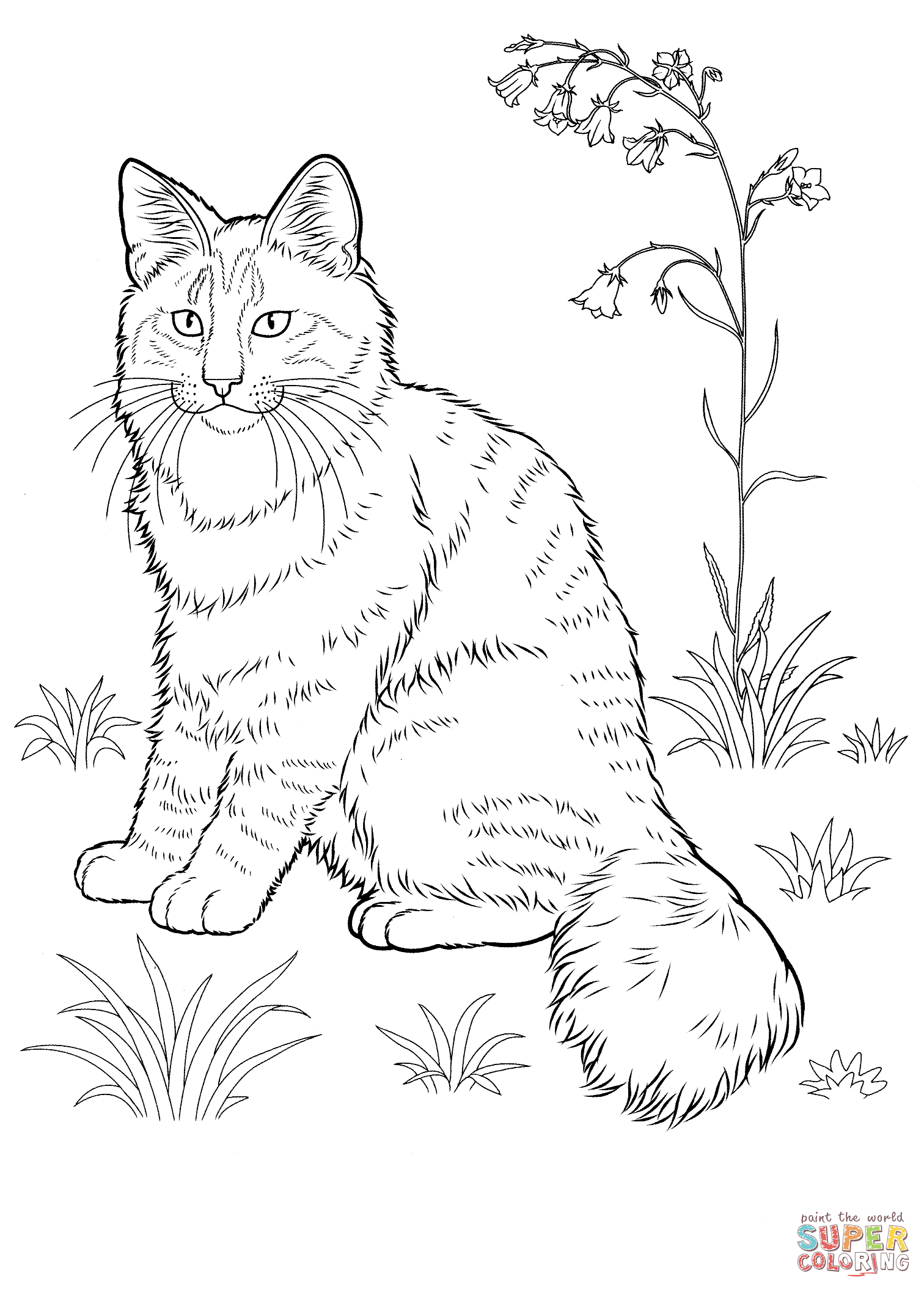 Norwegian forest cat coloring page free printable coloring pages