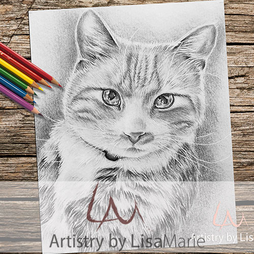 Cat portrait grayscale printable coloring book page â artistry by lisa marie