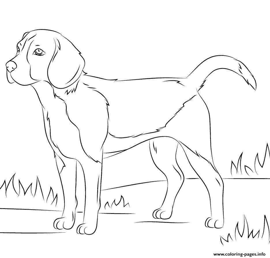 Realistic dog coloring page printable