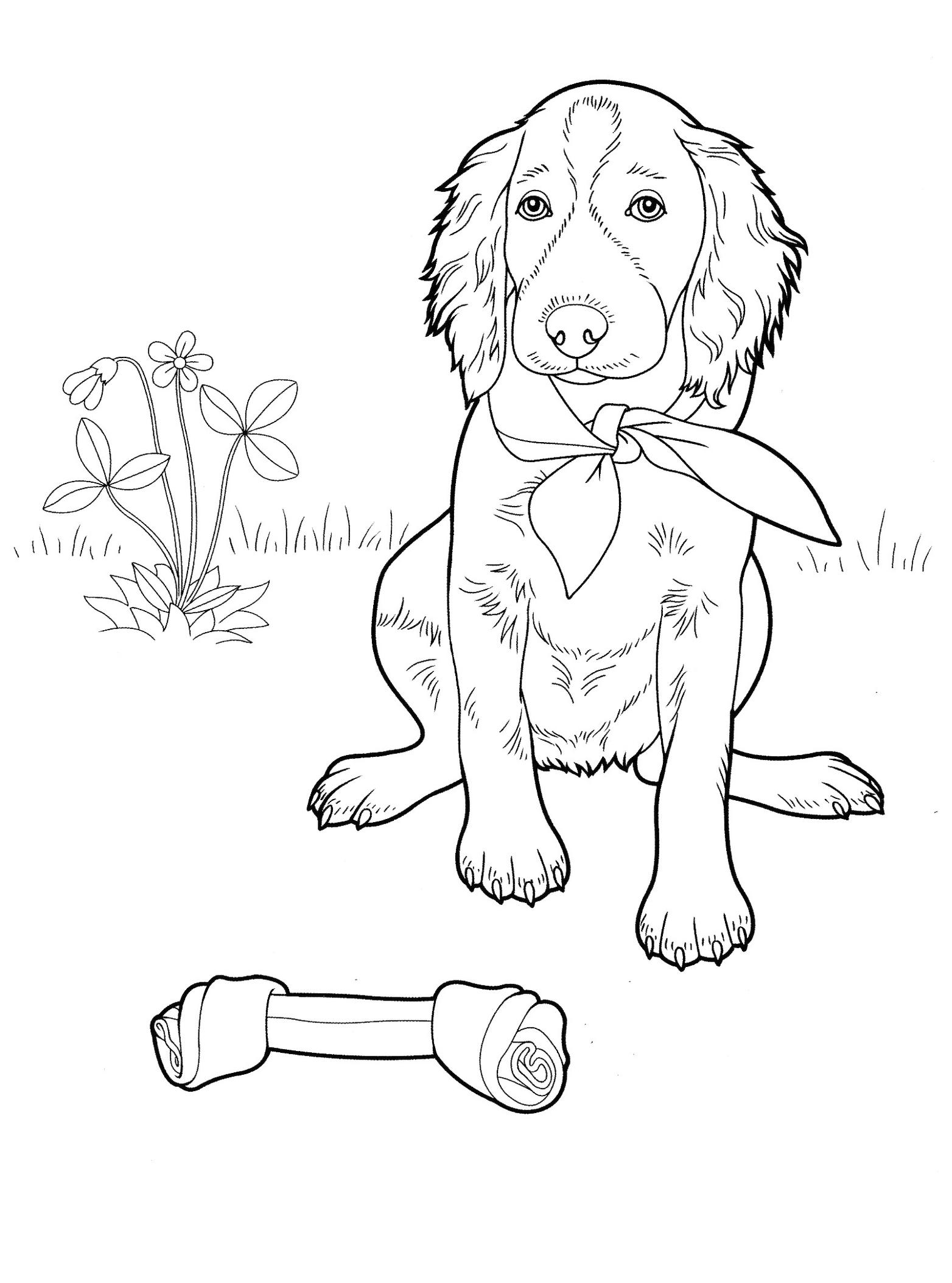 Get this dog coloring sheets for grown ups realistic dog drawing with her toy