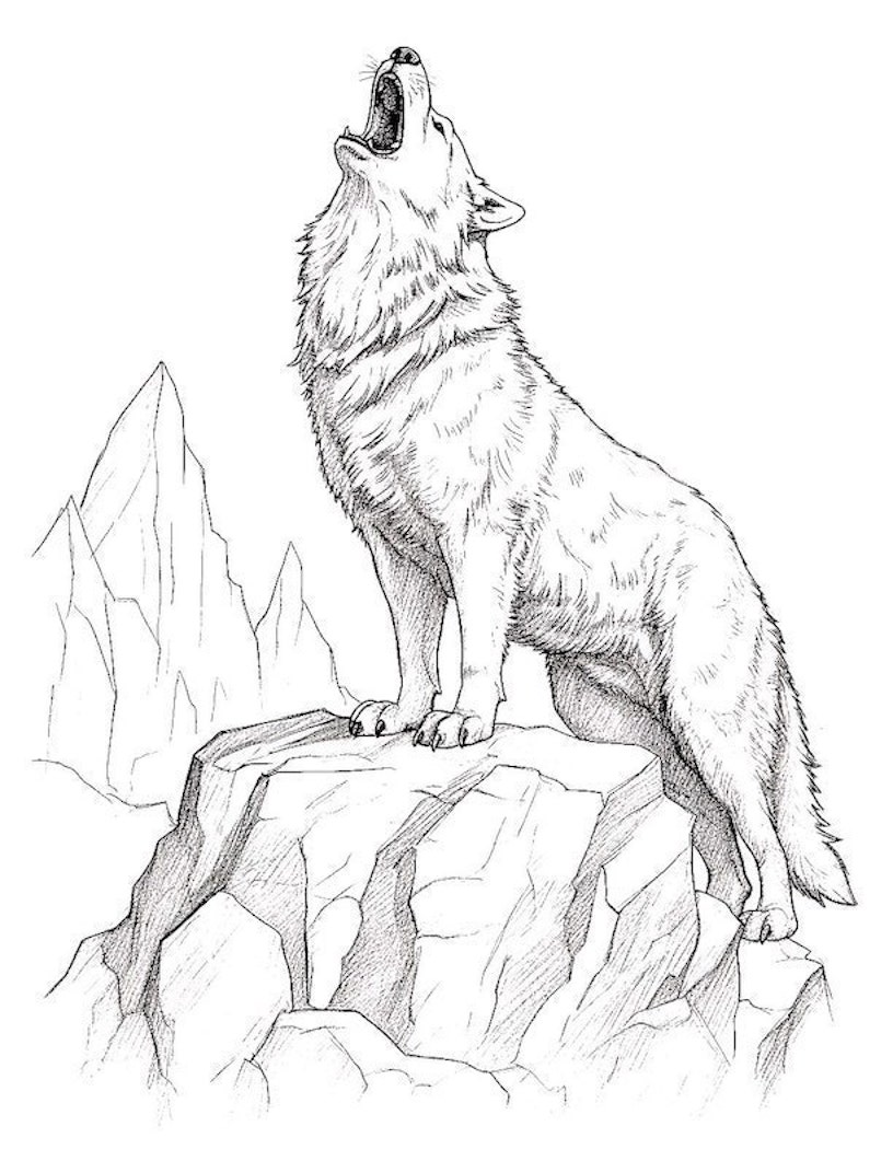 Majestic wolf coloring pages for kids and adults