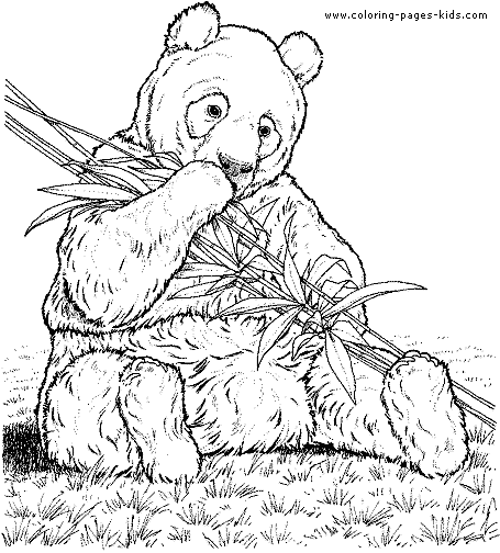 Panda bear color page panda coloring pages bear coloring pages zoo animal coloring pages