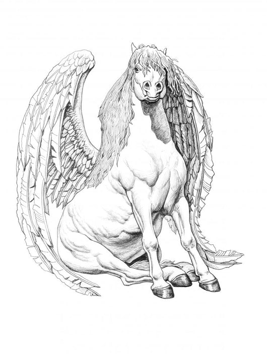 Pencil drawing pegasus wall mural â