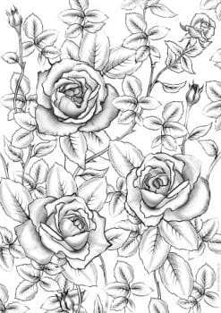 Best coloring pages you dont want to miss â volume â favoreads coloring club