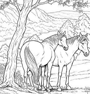 Realistic animal coloring pages printable for free download