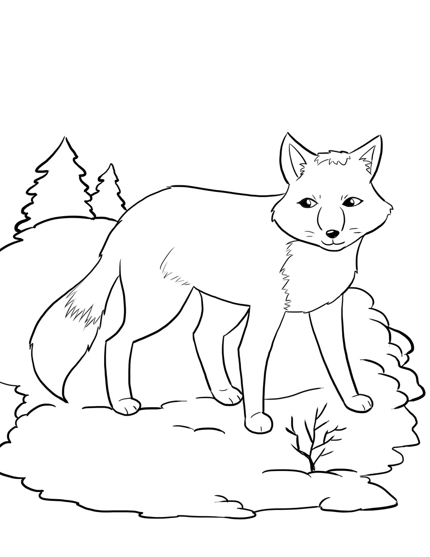 Free printable fox coloring pages for kids