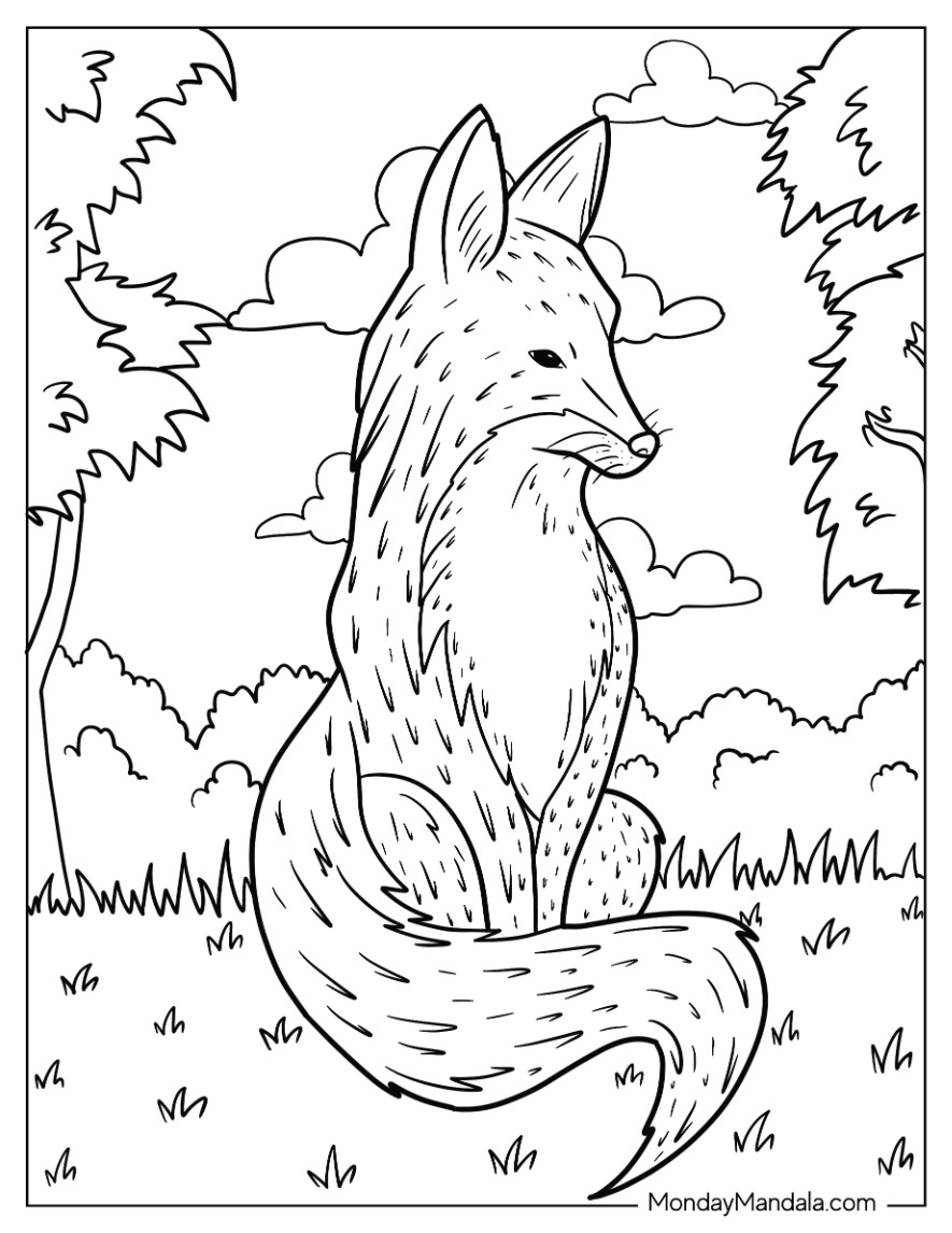 Fox coloring pages free pdf printables