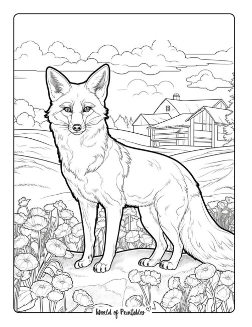 Fox coloring pages for kids adults