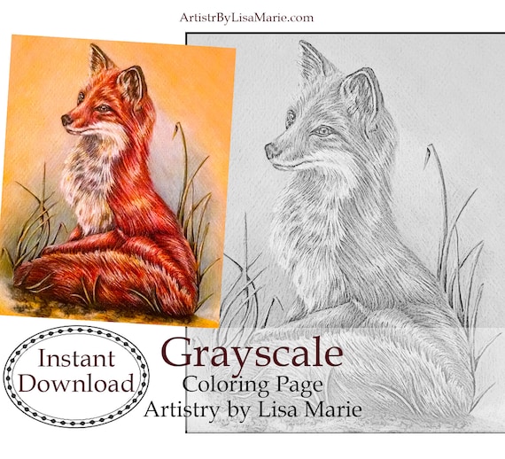 Adult coloring page fox coloring pages instant download coloring fox coloring page coloring book best selling printable coloring page