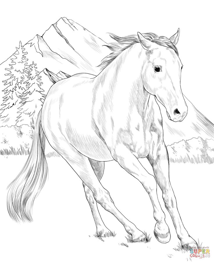 American paint horse coloring page free printable coloring pages horse coloring books horse coloring pages horse painting