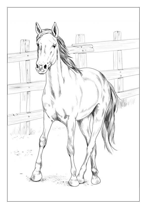 Horse coloring pages free printable coloring sheets for kids