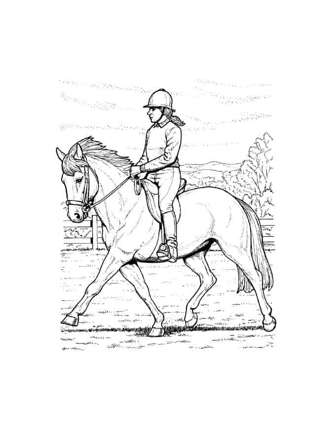 Your kids will love these horse coloring pages