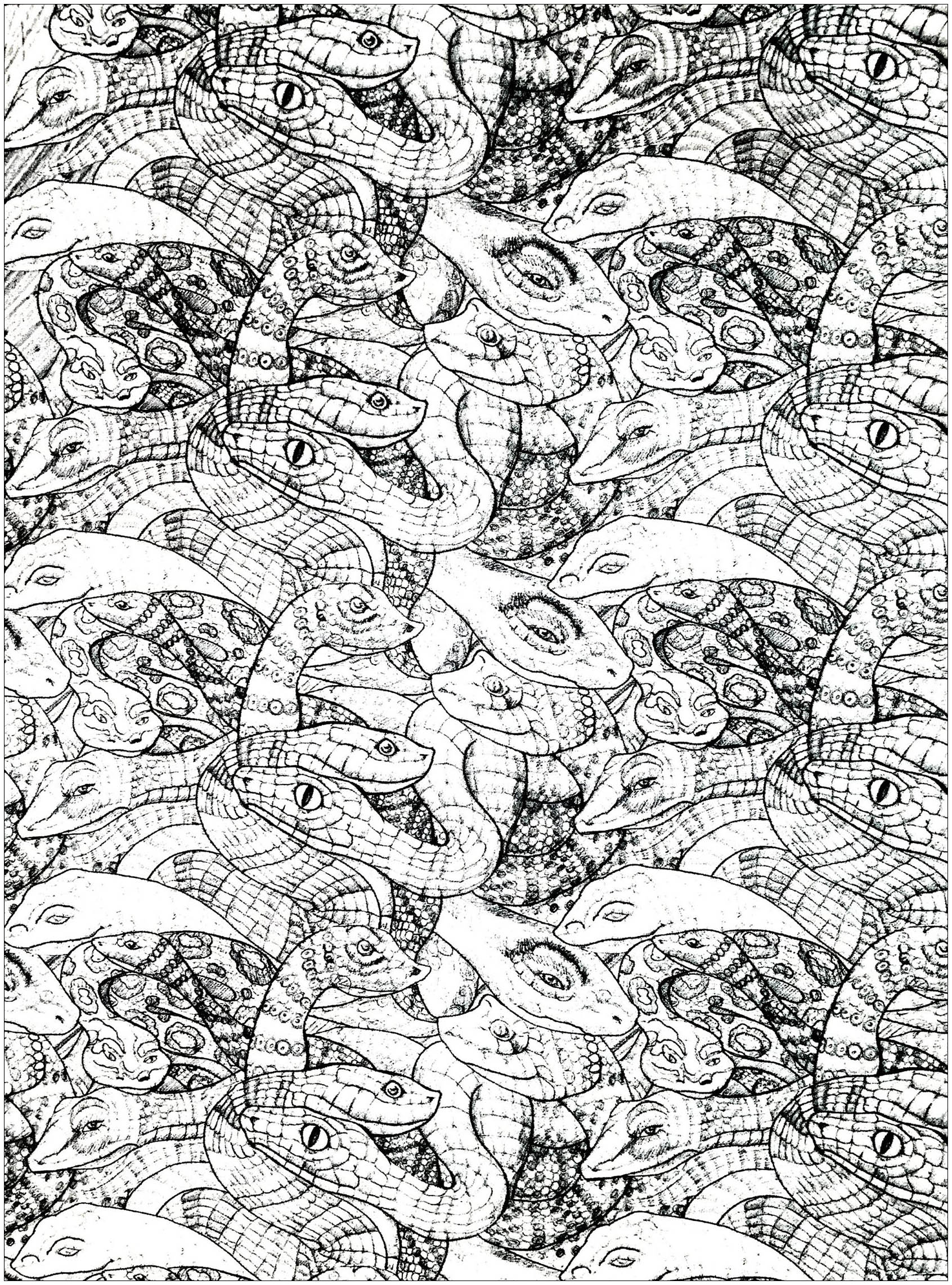 Drawing full of snakes very complex