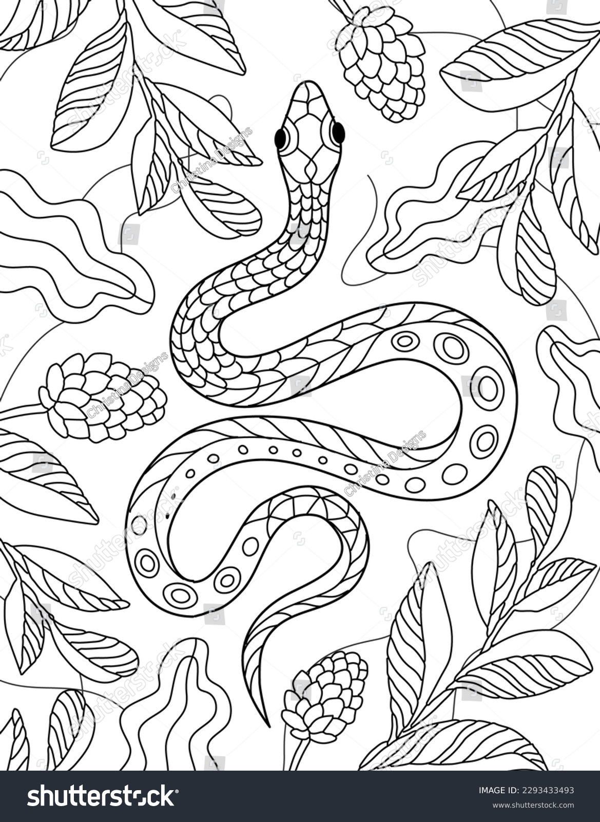 Adult snake over royalty