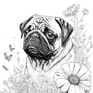 Pug coloring page