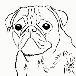 Pug coloring pages printable for free download