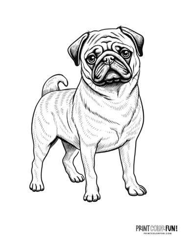 Dog coloring pages clipart pawsome activities for your little artist at