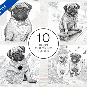 Pug coloring