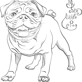 Pug coloring images