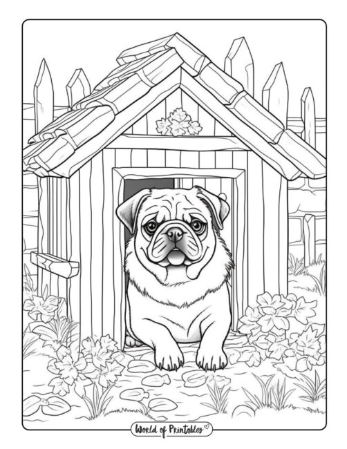 Dog coloring pages for kids adults