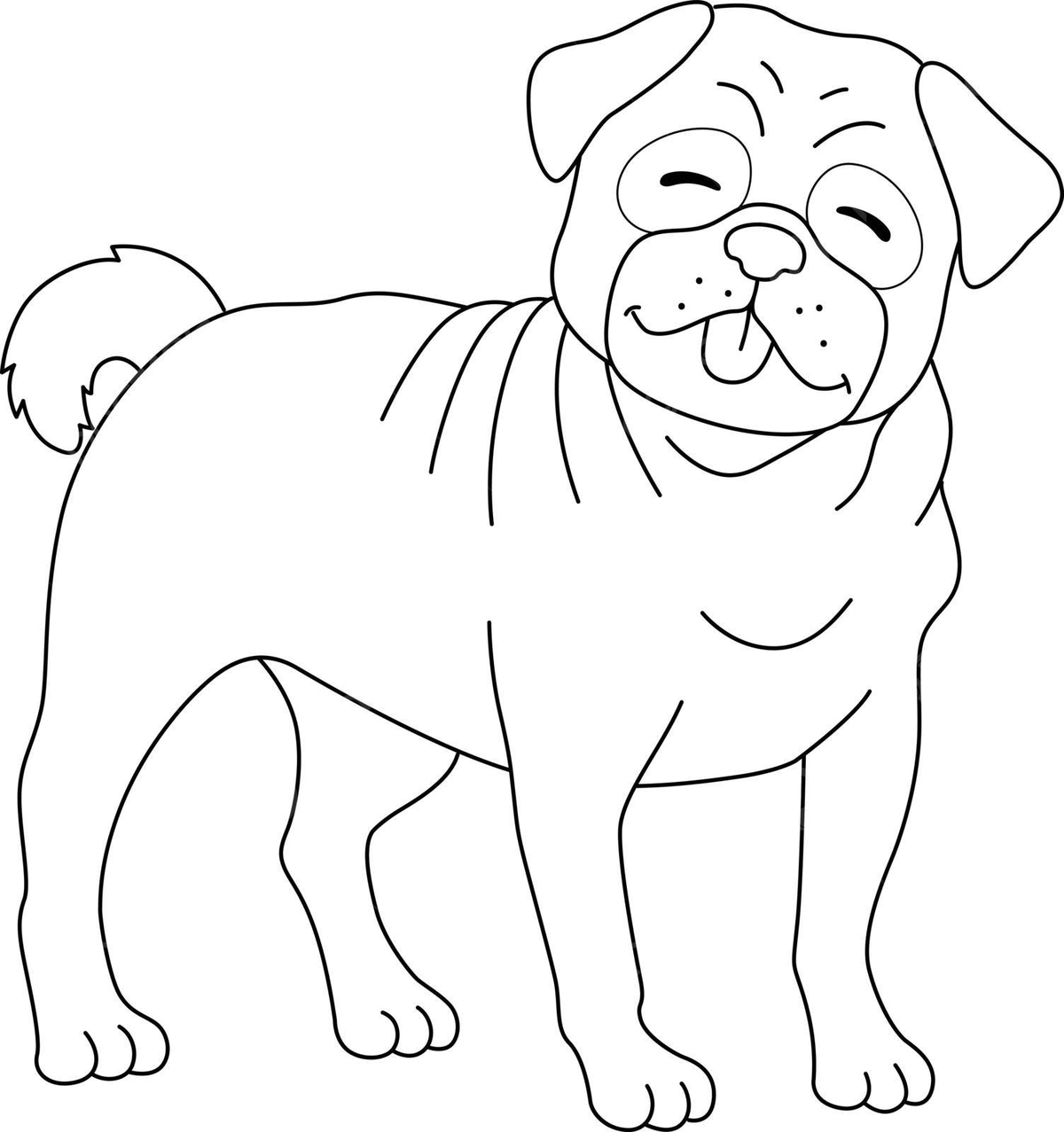 Pug dog isolated coloring page for kids colour hand drawn colouring vector dog drawing ring drawing kid drawing png and vector with transparent background for free download